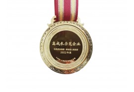 2022年度高成長示范企業(yè)